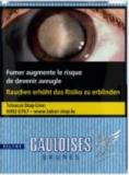 Gauloises Brunes Filtre 10*20