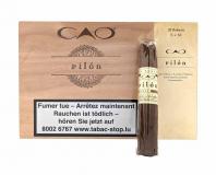 Cao Pilon Robusto