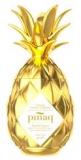 Pinaq Liqueur Gold Edition 5cl Vol 17%