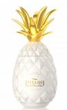 Pinaq Liqueur Colada 100cl Vol 17%