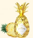 Pinaq Liqueur Gold 100cl Vol 17%