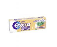 Extra Fresh Single Melon Mint 10 0g