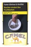 Camel Filters 10*20