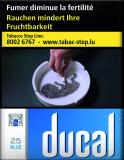 Ducal Blue 8*25