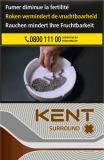 Kent Silver 10*20
