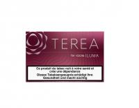 Terea Russet 20