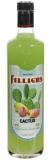 Filliers Fleur Cactus 70cl Vol 20%